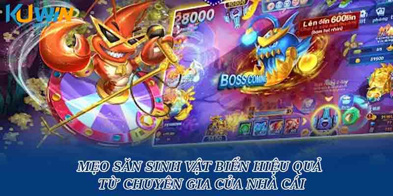 Mẹo săn sinh vật biển hiệu quả từ chuyên gia của nhà cái