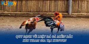 Quy Định Về Luật Đá Gà Miền Bắc Khi Tham Gia Tại Kunwin